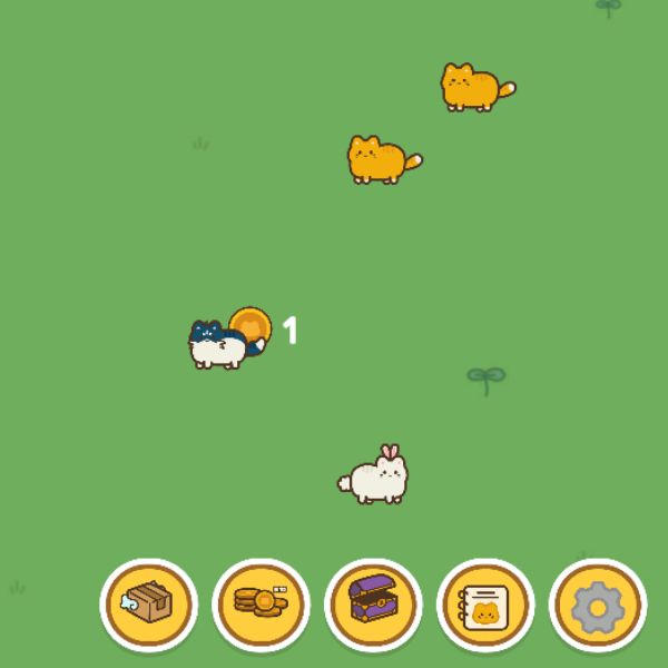 cat evolution online